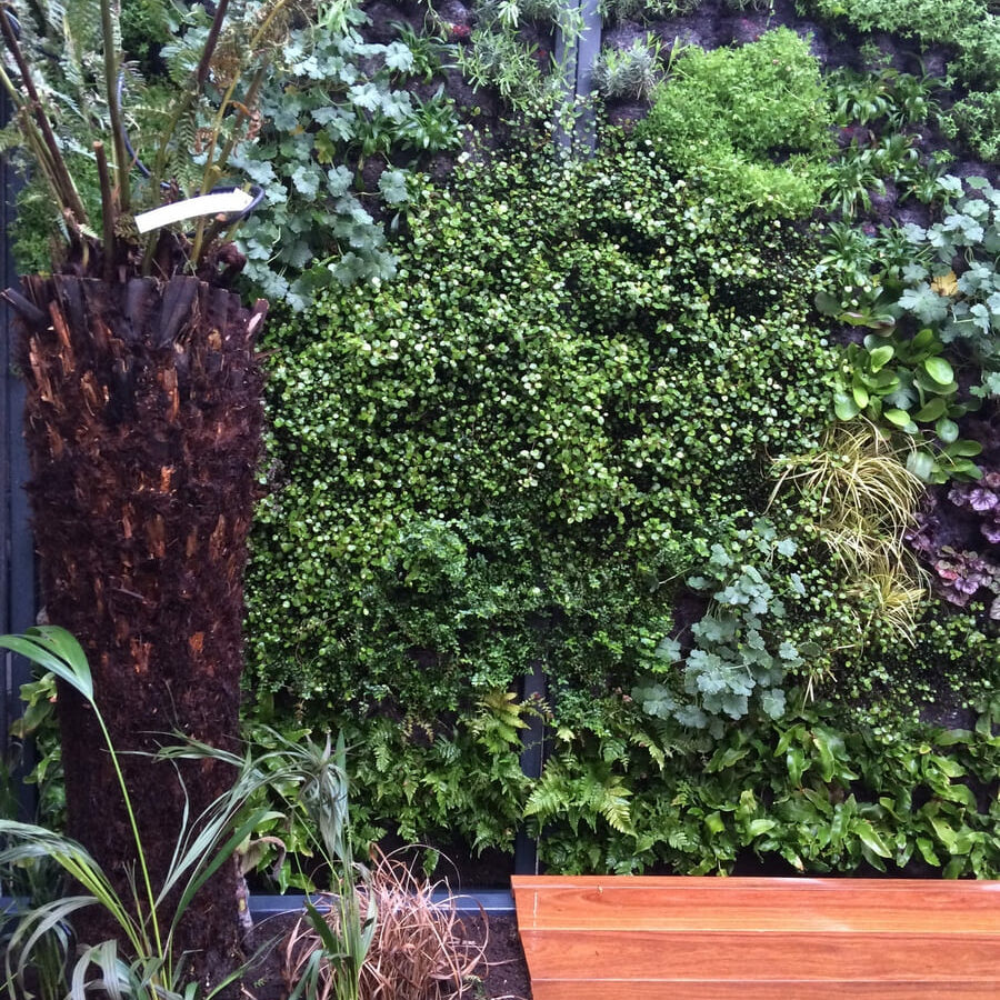 Aménagement du patio d'un loft à La Seyne sur Mer en Provence