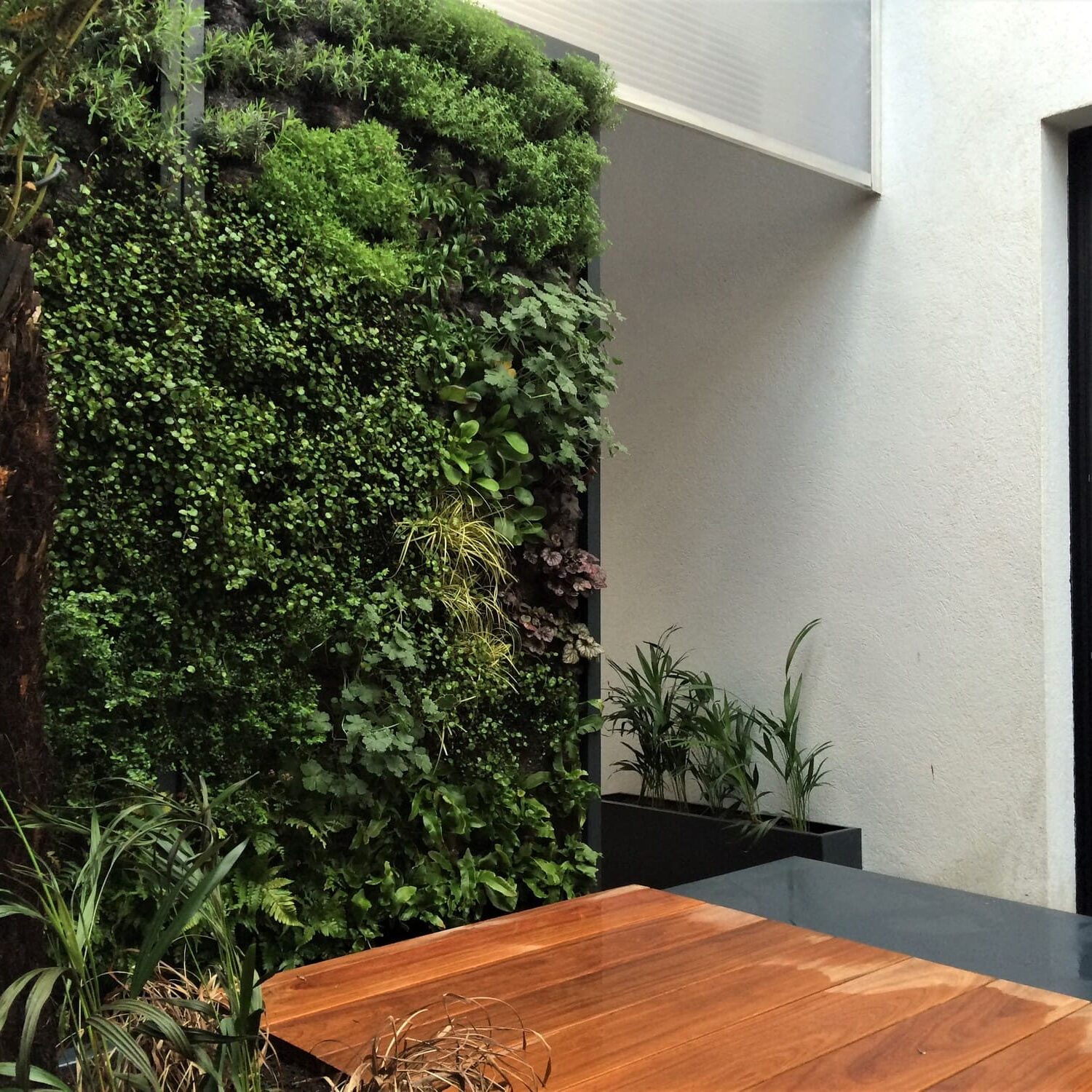 Aménagement du patio d'un loft à La Seyne sur Mer en Provence