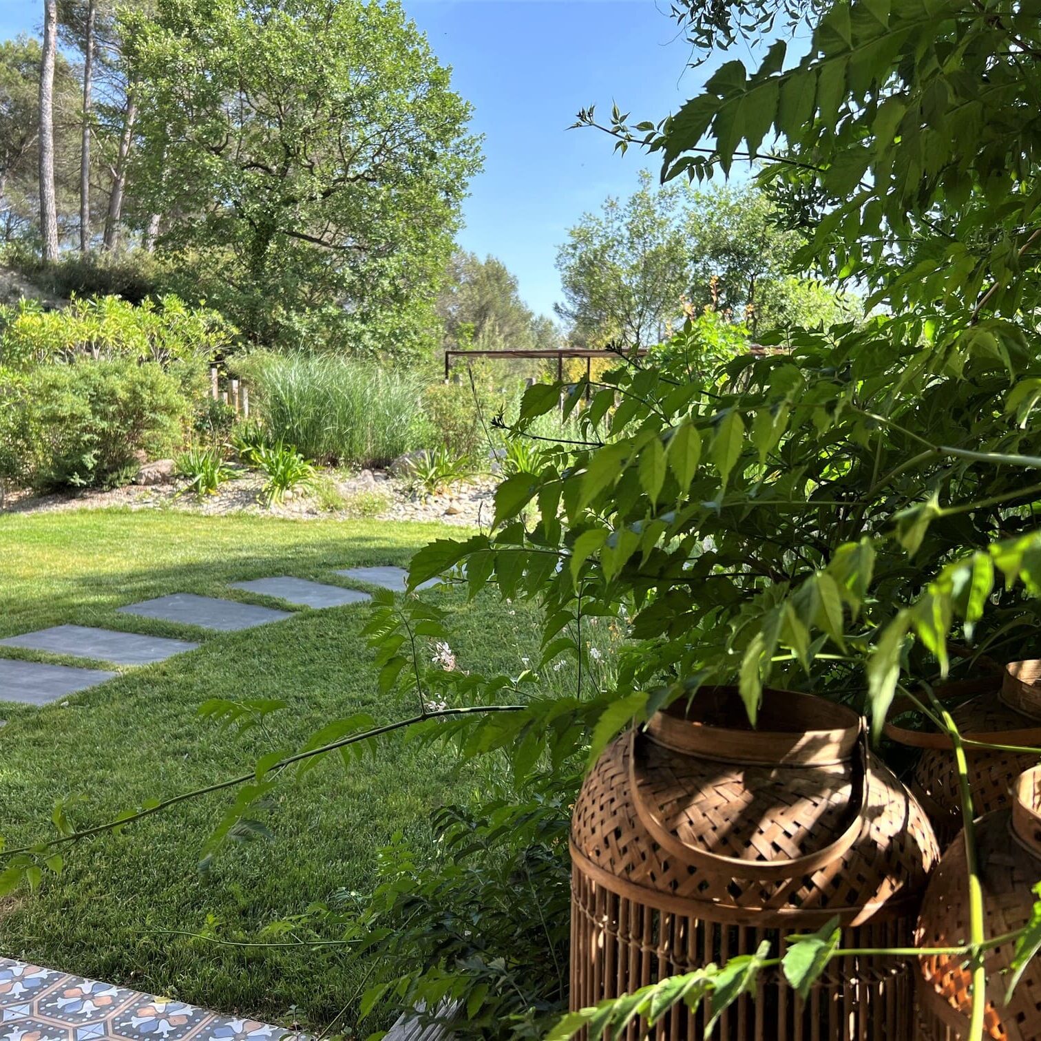 Jardin méditerranéen contemporain dans le Luberon - Bao Garden