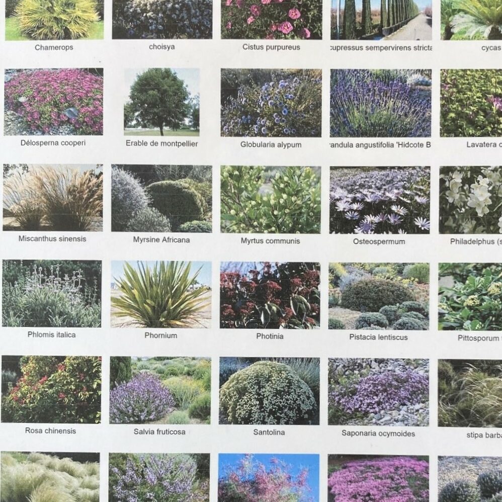 Projet d'aménagement d'un espace piscine et des extérieurs à Ollioules