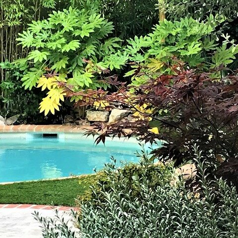 Le jardin de ville Hôtel particulier - Marseille 8ème