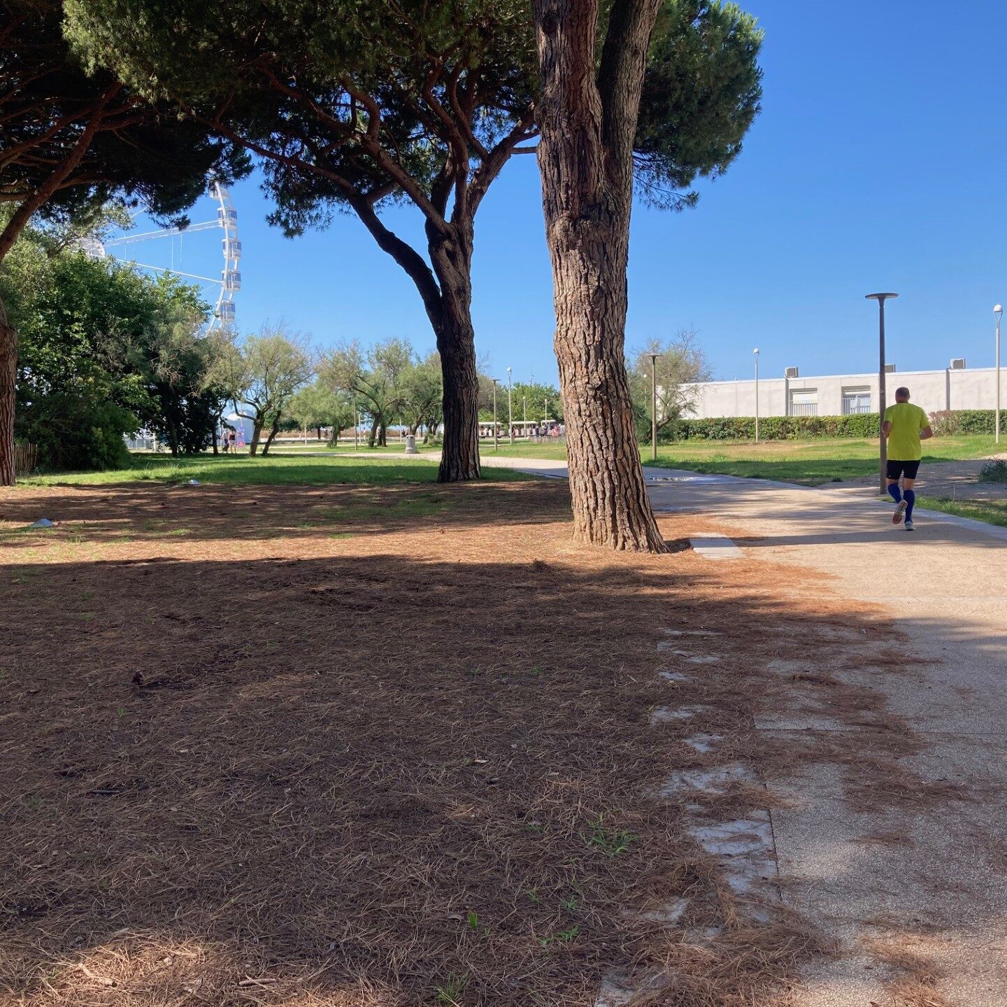Projet centre de fitness extérieur à la Grande Motte par Bao Garden