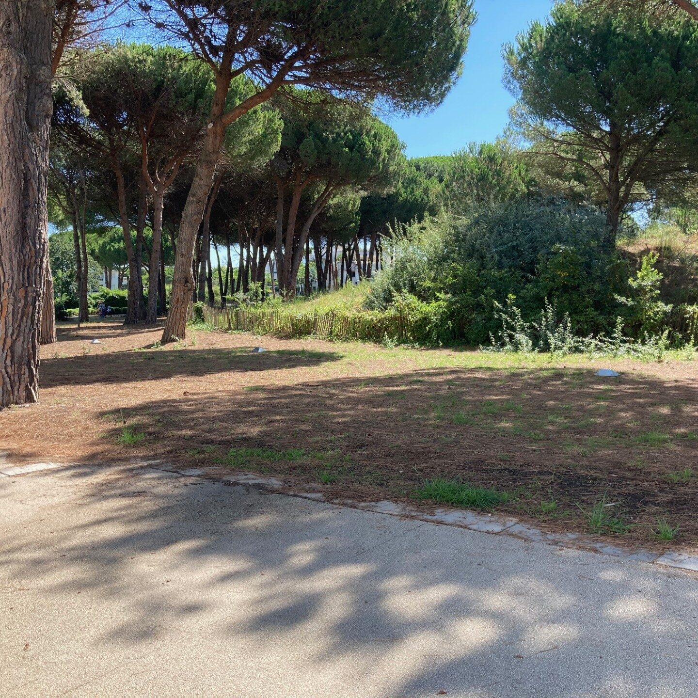 Projet centre de fitness extérieur à la Grande Motte par Bao Garden